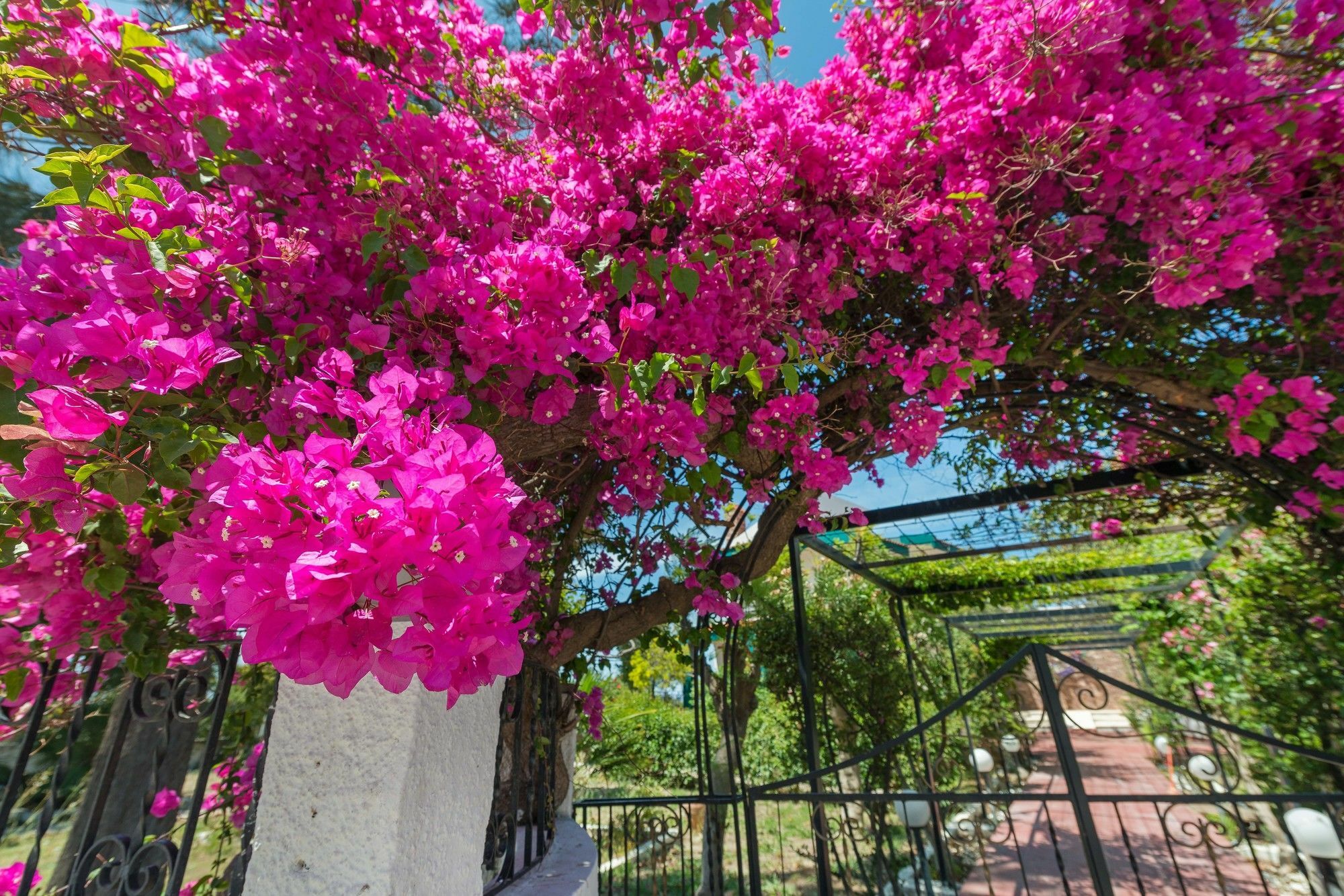 Villas Marianna Kalavarda Bagian luar foto